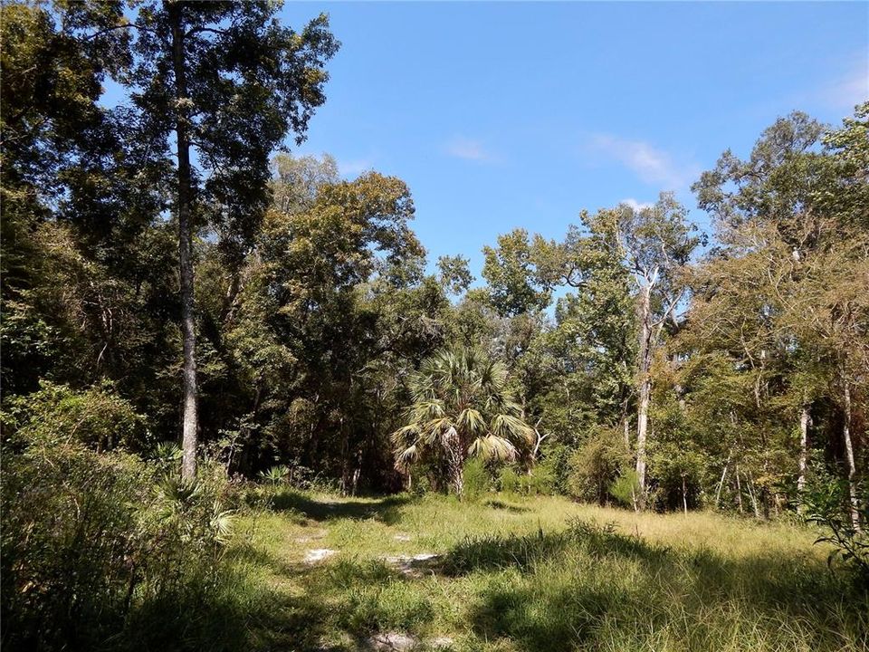 Active With Contract: $119,900 (3.15 acres)