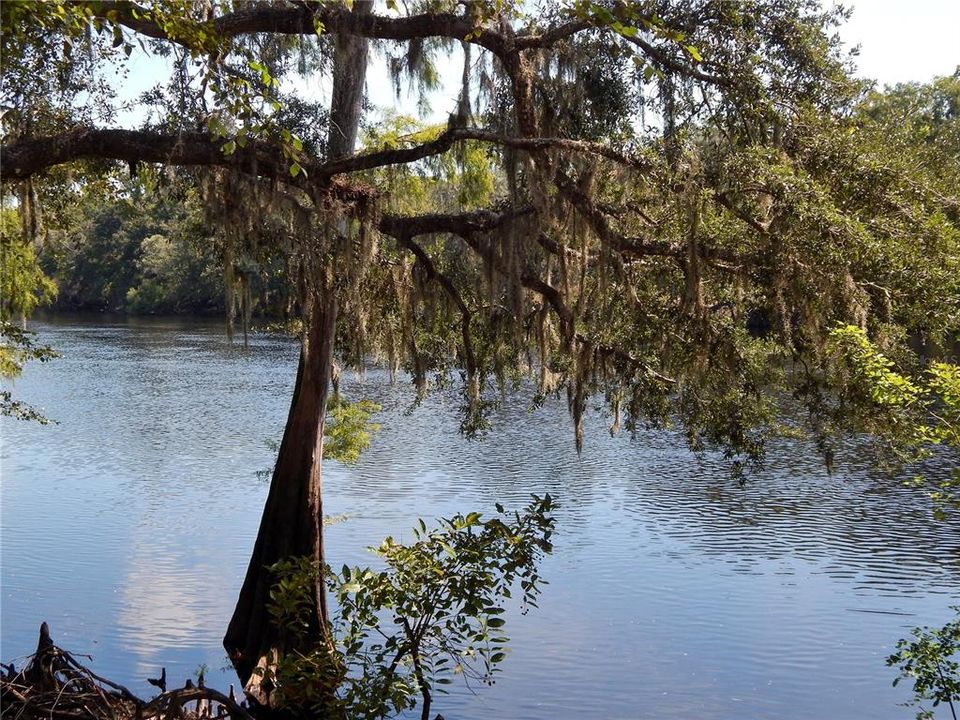 Active With Contract: $119,900 (3.15 acres)