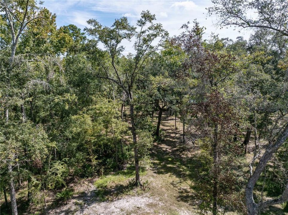 Active With Contract: $119,900 (3.15 acres)