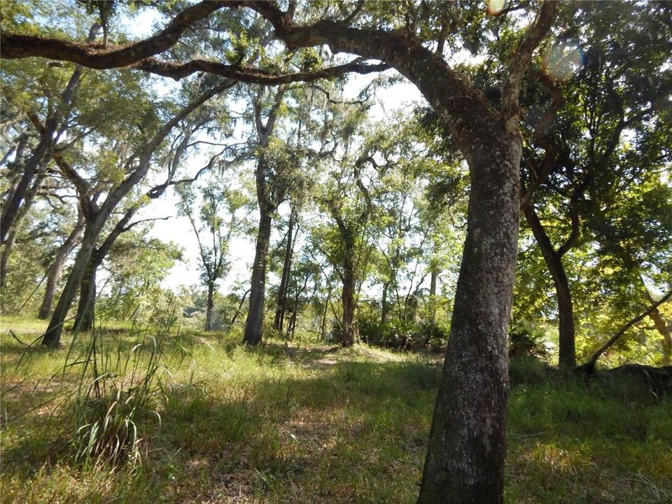 Active With Contract: $119,900 (3.15 acres)