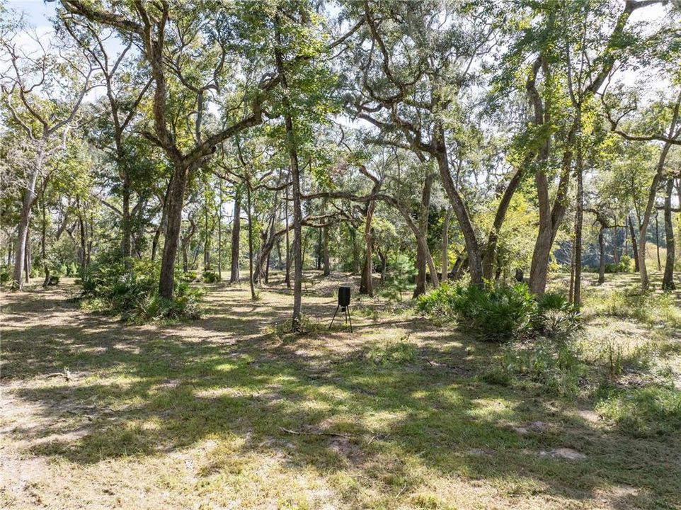 Active With Contract: $119,900 (3.15 acres)