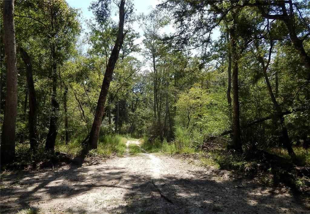 Active With Contract: $119,900 (3.15 acres)