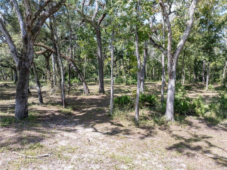 Active With Contract: $119,900 (3.15 acres)