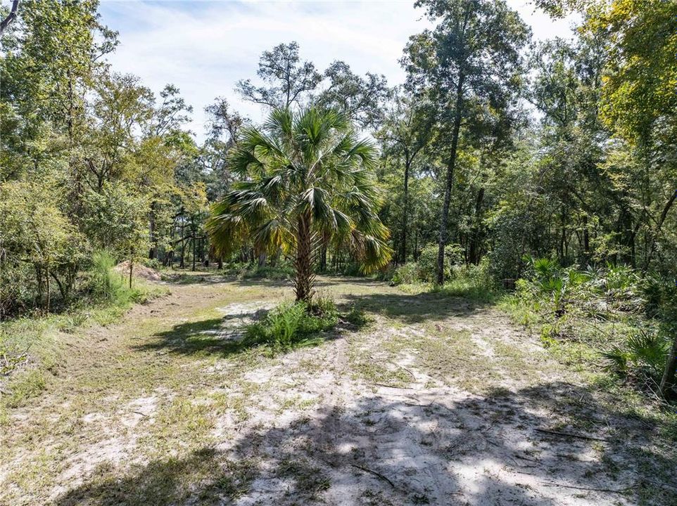 Active With Contract: $119,900 (3.15 acres)