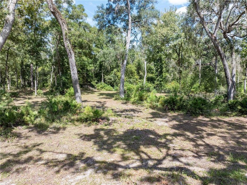 Active With Contract: $119,900 (3.15 acres)