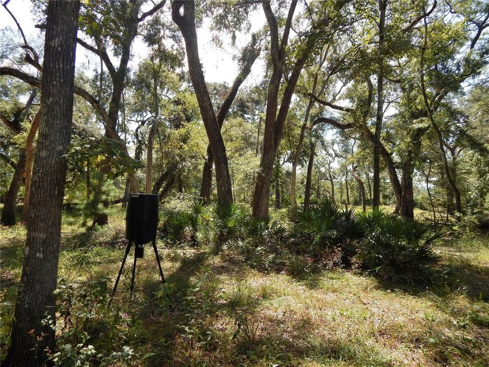 Active With Contract: $119,900 (3.15 acres)