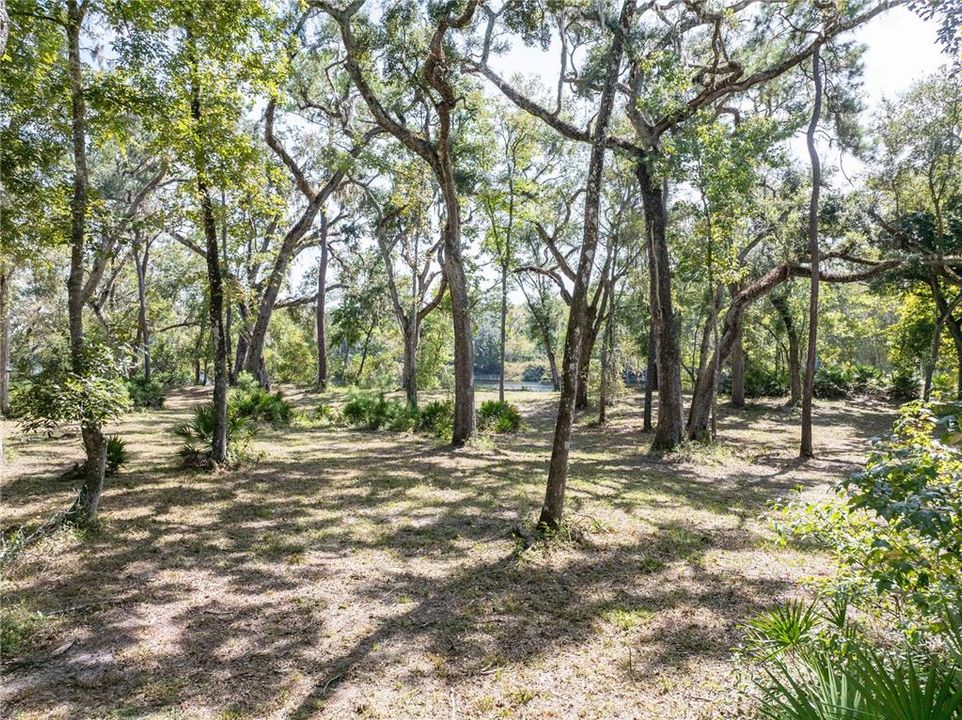 Active With Contract: $119,900 (3.15 acres)