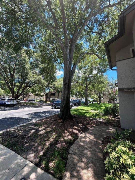 For Sale: $150,000 (1 beds, 1 baths, 749 Square Feet)