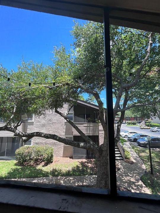 For Sale: $150,000 (1 beds, 1 baths, 749 Square Feet)