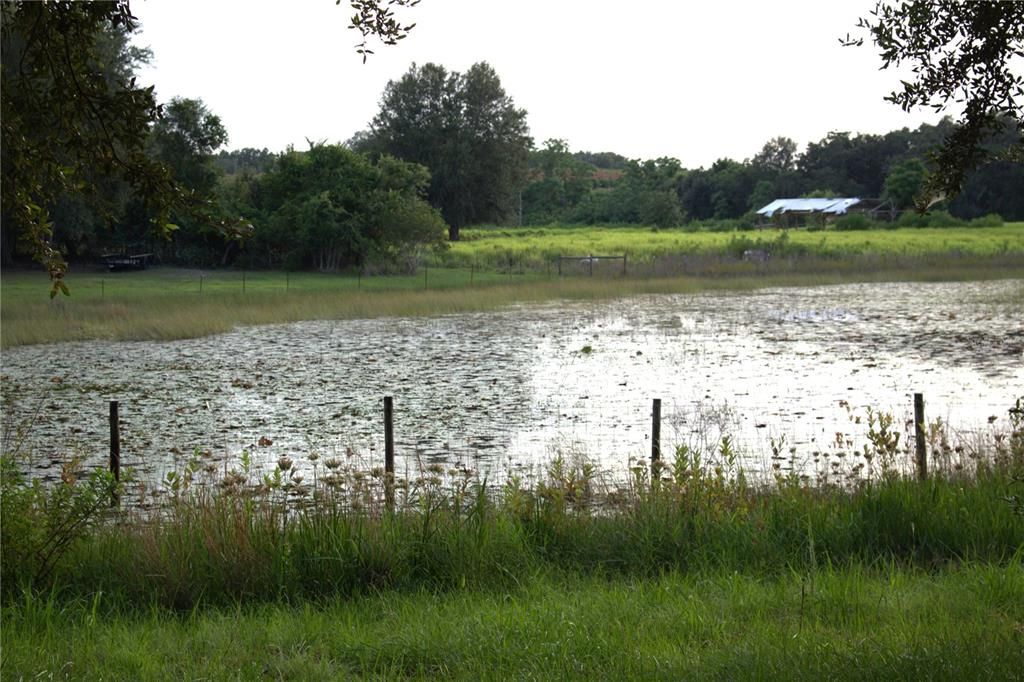 For Sale: $1,089,000 (6 beds, 3 baths, 3452 Square Feet)