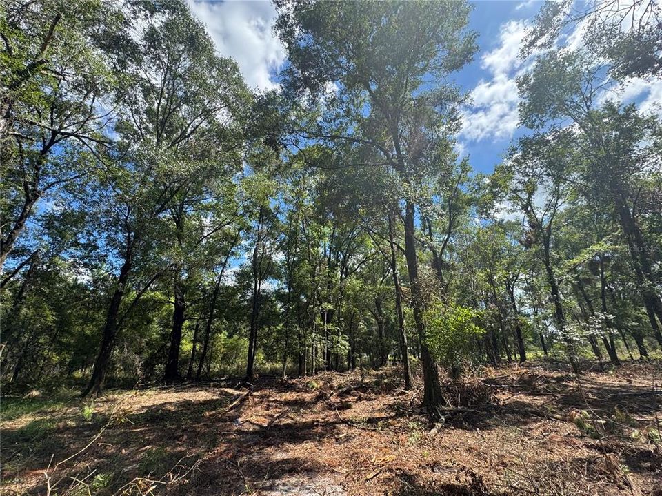 На продажу: $120,000 (10.00 acres)