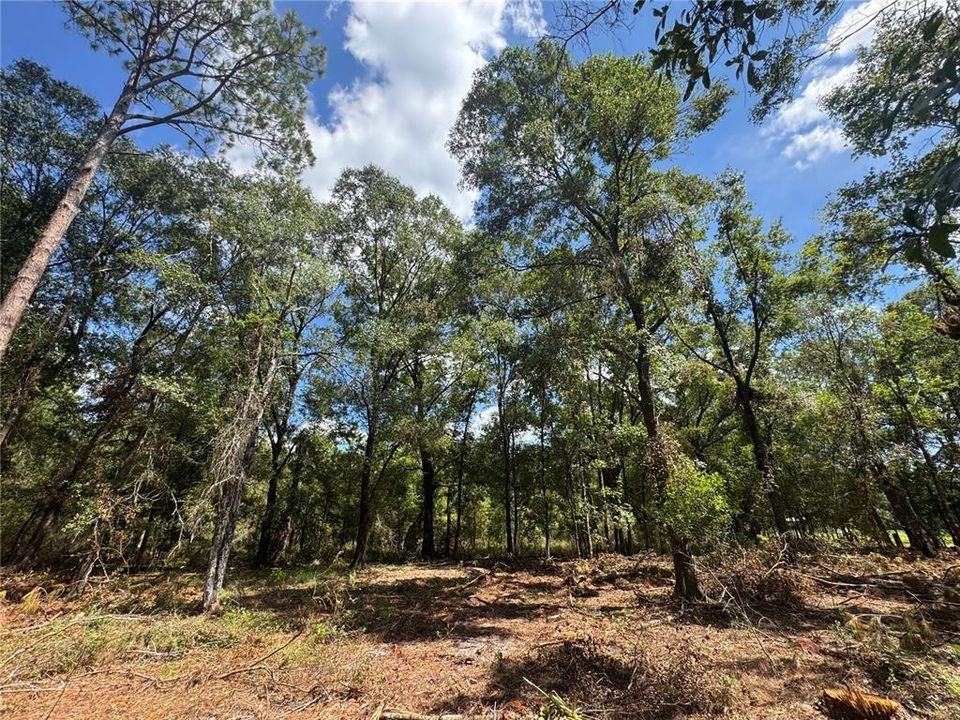 На продажу: $120,000 (10.00 acres)