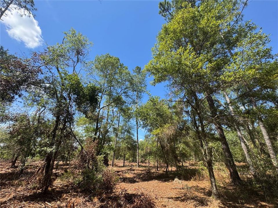 На продажу: $120,000 (10.00 acres)