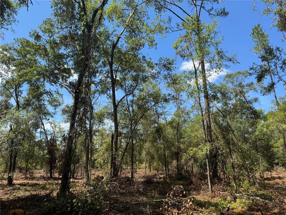 На продажу: $120,000 (10.00 acres)