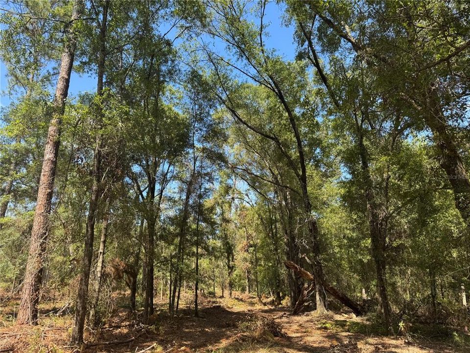 На продажу: $120,000 (10.00 acres)