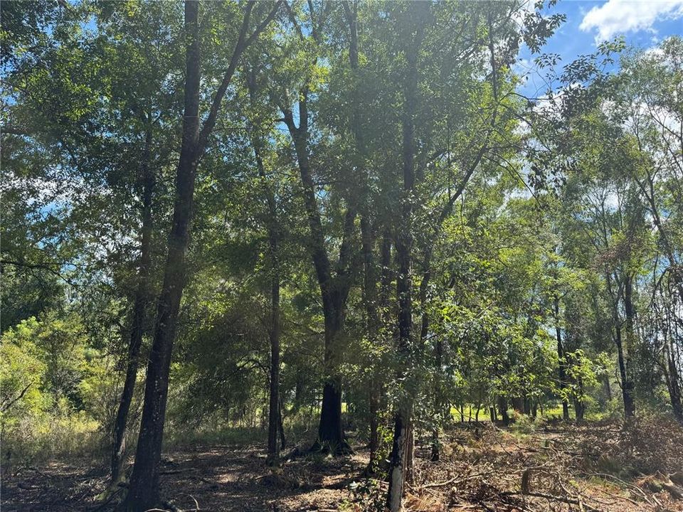 На продажу: $120,000 (10.00 acres)