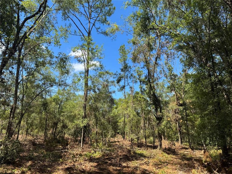 На продажу: $120,000 (10.00 acres)