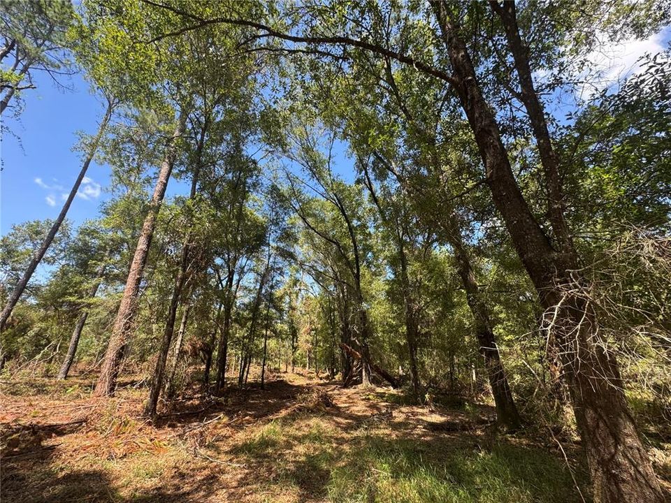 На продажу: $120,000 (10.00 acres)