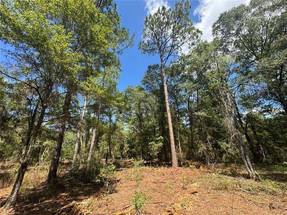 На продажу: $120,000 (10.00 acres)