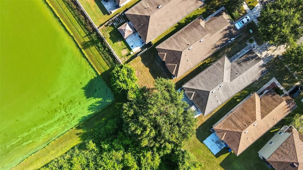 For Sale: $339,000 (3 beds, 2 baths, 1278 Square Feet)