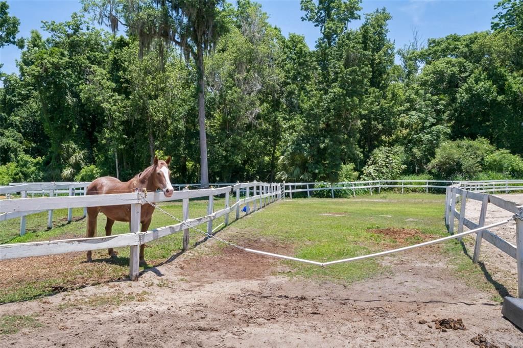 合同活跃: $799,900 (5 贝兹, 3 浴室, 3785 平方英尺)