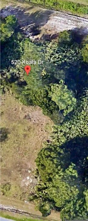 For Sale: $67,000 (0.21 acres)