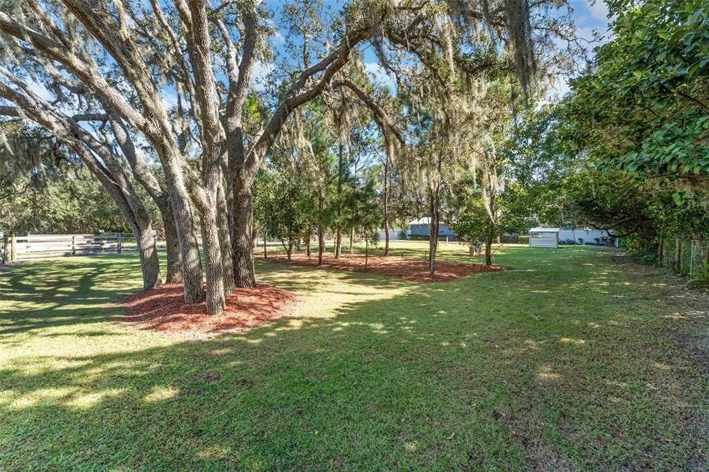 待售: $350,000 (3 贝兹, 2 浴室, 1600 平方英尺)