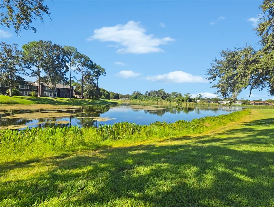 На продажу: $139,900 (2 спален, 1 ванн, 1054 Квадратных фут)