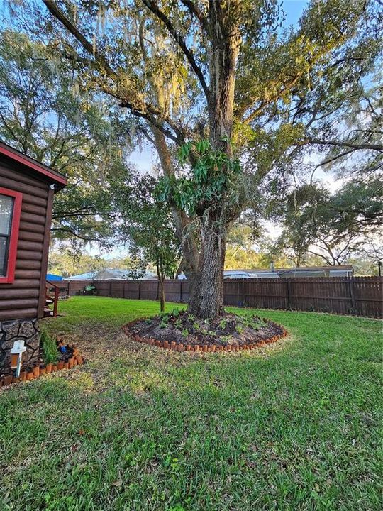 На продажу: $269,900 (3 спален, 2 ванн, 1512 Квадратных фут)