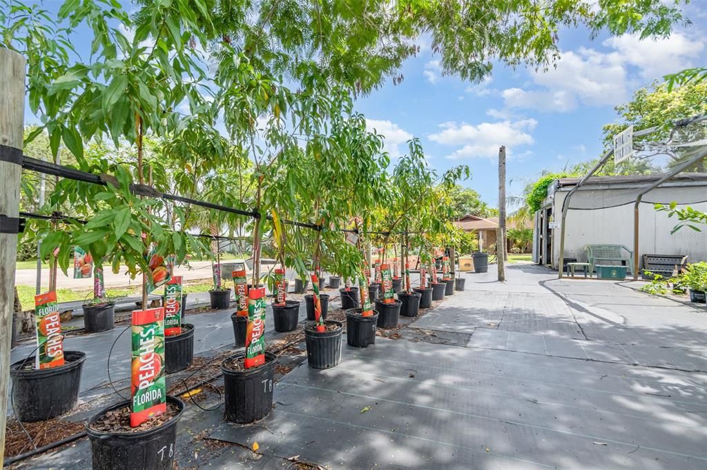 En Venta: $875,000 (3 camas, 2 baños, 1665 Pies cuadrados)