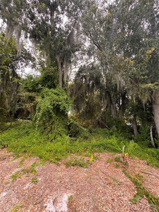 待售: $70,000 (0.23 acres)