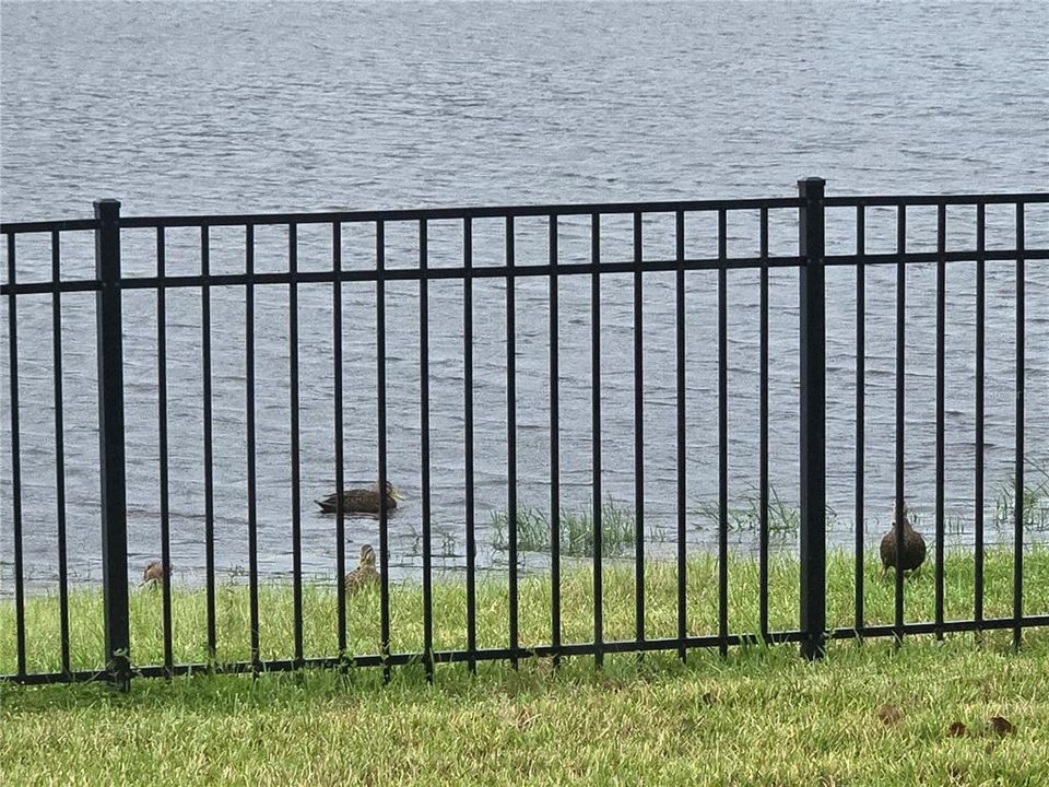 待售: $379,900 (3 贝兹, 2 浴室, 1662 平方英尺)