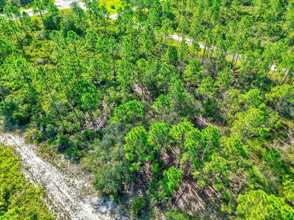 待售: $11,700 (0.50 acres)