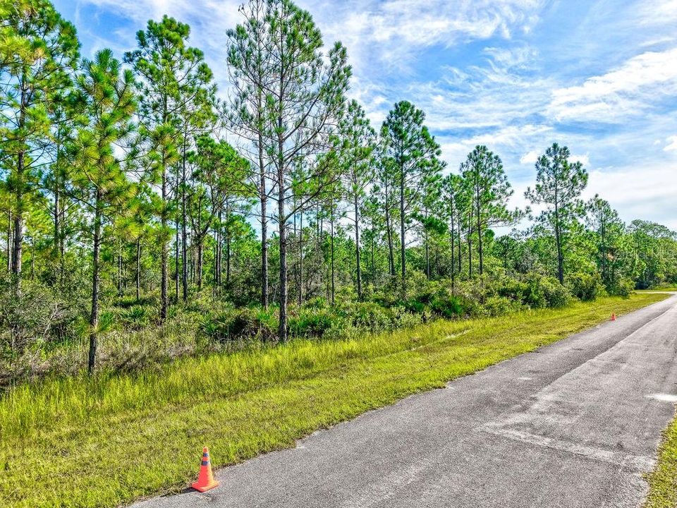 待售: $11,700 (0.50 acres)