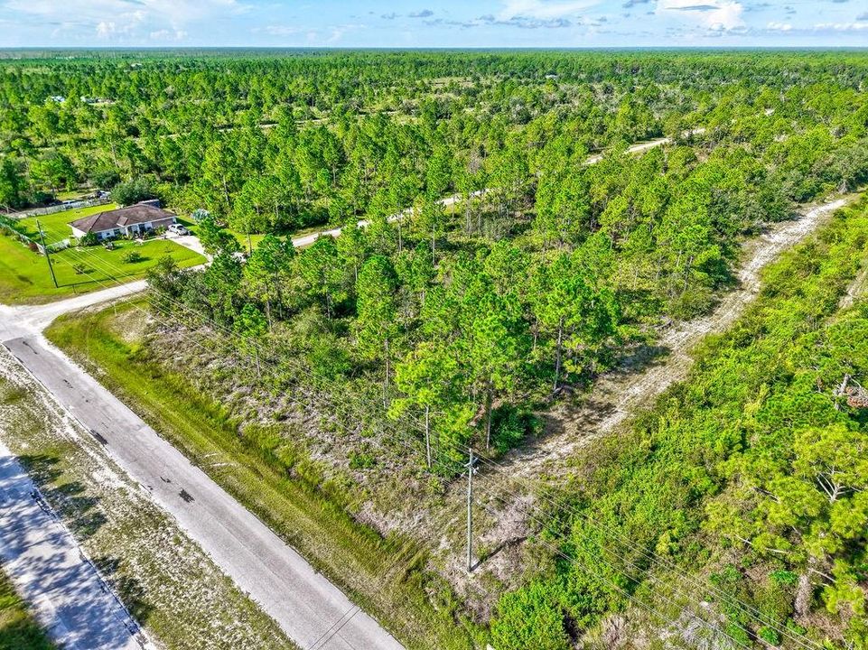 待售: $11,700 (0.50 acres)