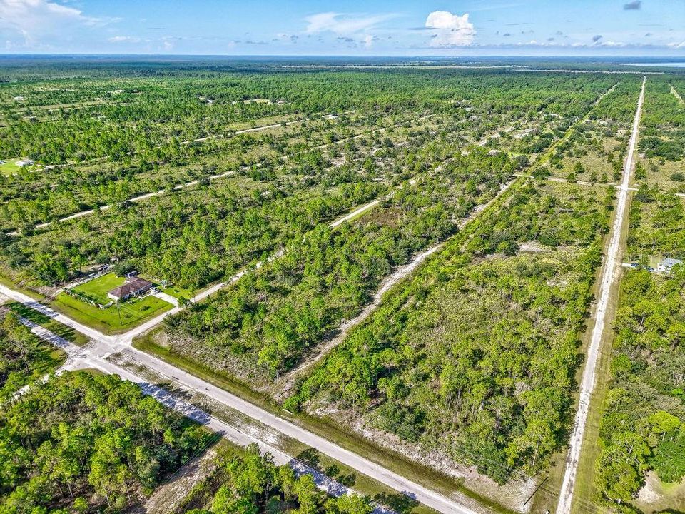 待售: $11,700 (0.50 acres)