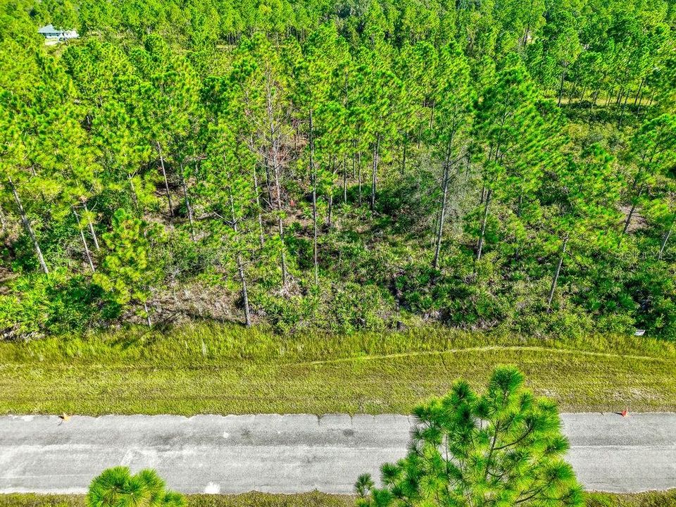 待售: $11,700 (0.50 acres)