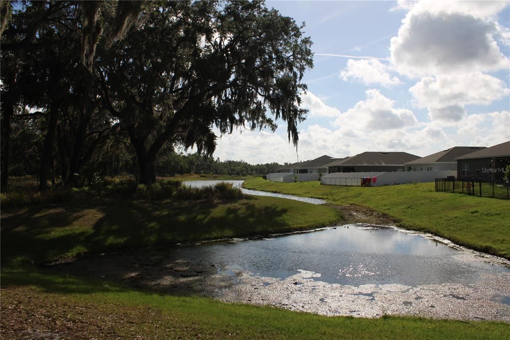 Active With Contract: $2,350 (3 beds, 2 baths, 1824 Square Feet)