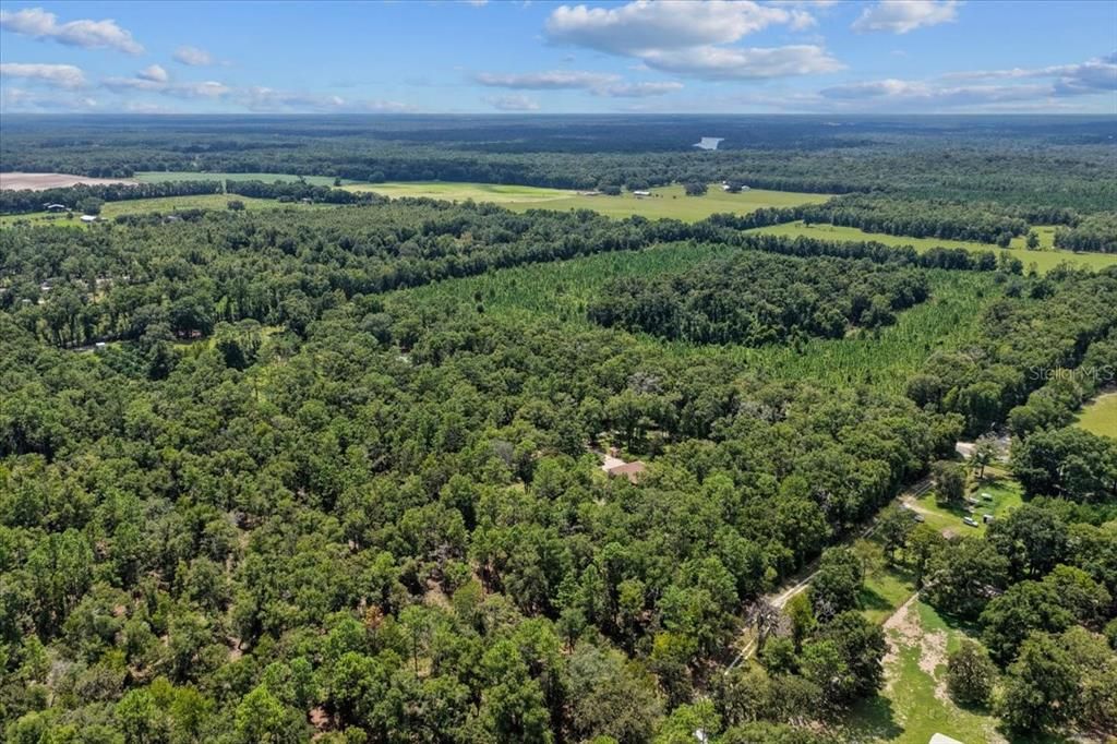 待售: $539,900 (3 贝兹, 2 浴室, 1441 平方英尺)