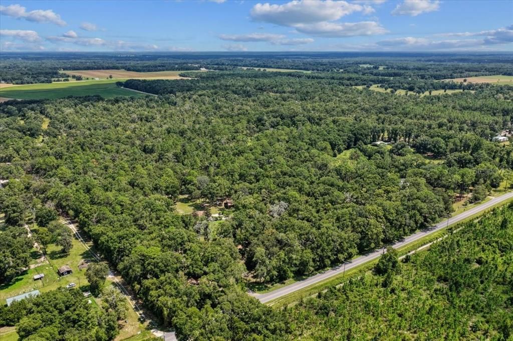 待售: $539,900 (3 贝兹, 2 浴室, 1441 平方英尺)