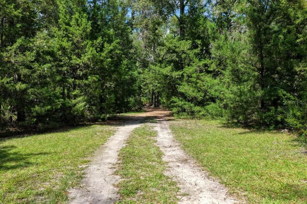 待售: $539,900 (3 贝兹, 2 浴室, 1441 平方英尺)