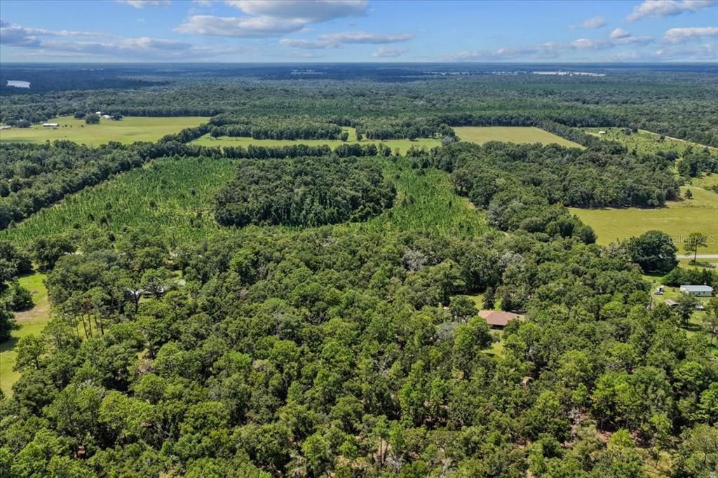 待售: $539,900 (3 贝兹, 2 浴室, 1441 平方英尺)