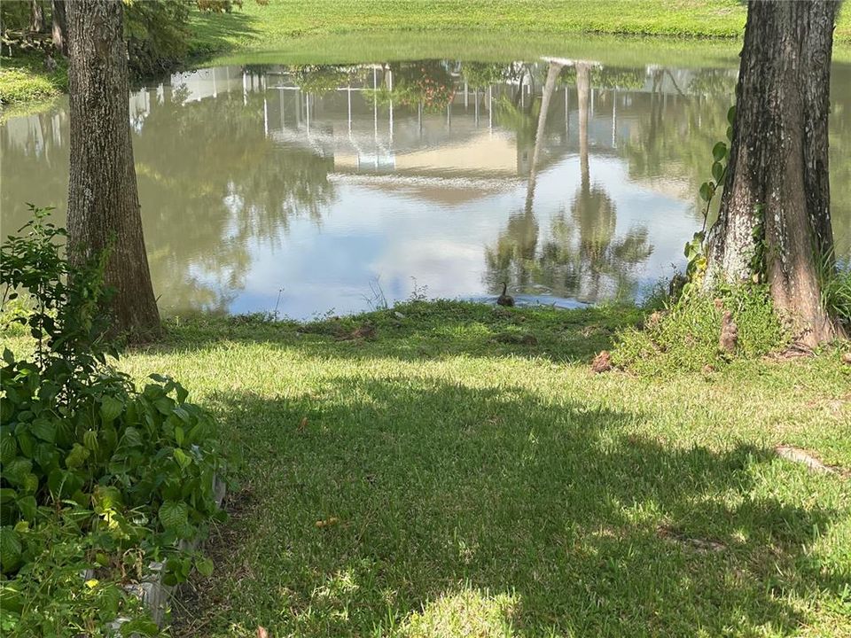 Под контрактом: $315,000 (3 спален, 2 ванн, 1719 Квадратных фут)