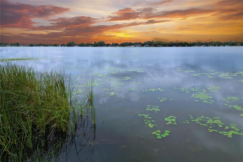 En Venta: $120,000 (0.25 acres)