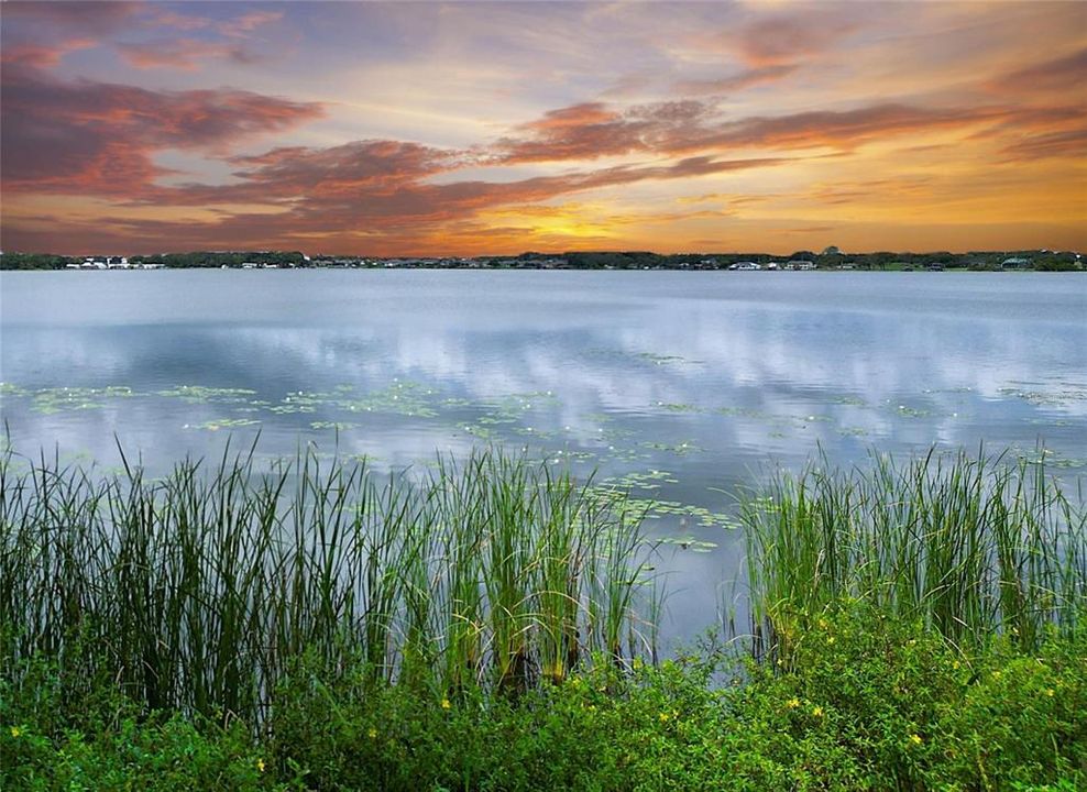 En Venta: $120,000 (0.25 acres)