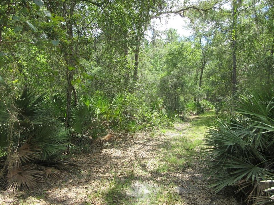 На продажу: $45,900 (0.80 acres)