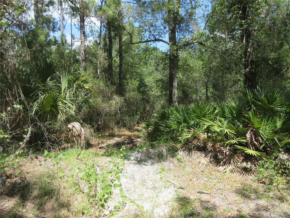 На продажу: $45,900 (0.80 acres)