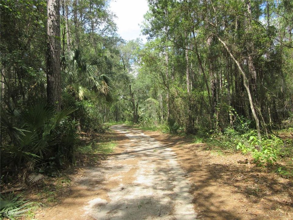 На продажу: $45,900 (0.80 acres)