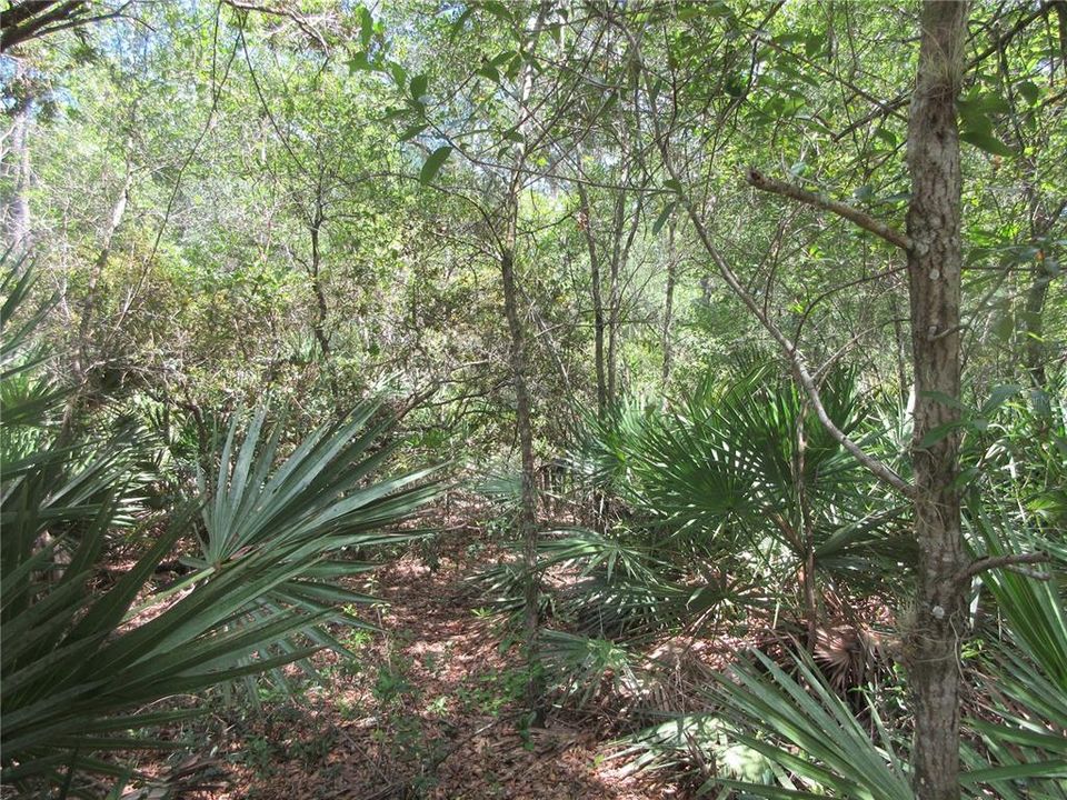 На продажу: $45,900 (0.80 acres)