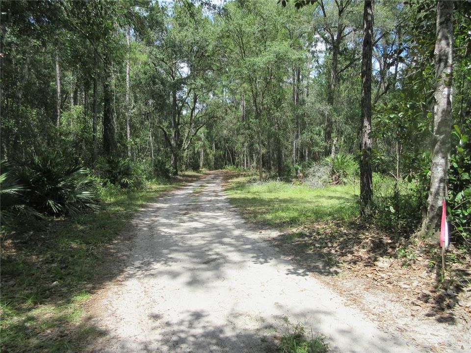 На продажу: $45,900 (0.80 acres)